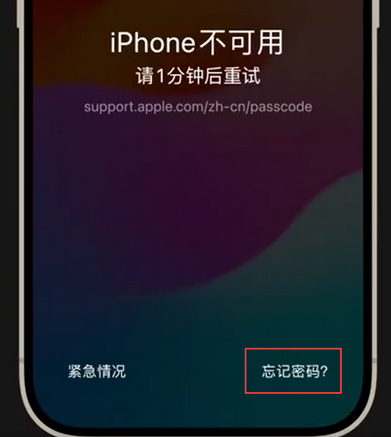 旬阳苹果手机密码维修分享iPhone忘记了刚设置的密码 